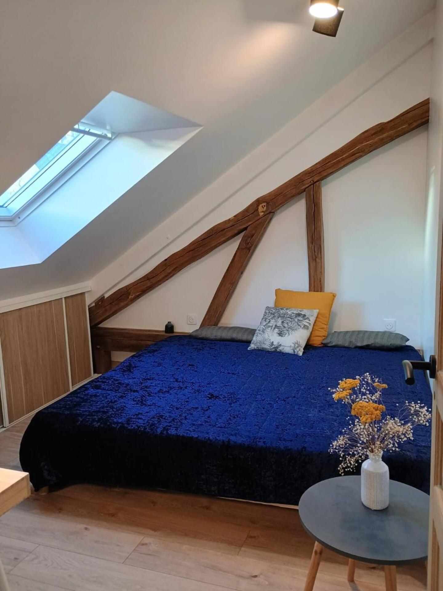 Domaine De Charme Au Coeur D'Orleans Classe 3 Etoiles - Bords De Loire - 21 Couchages Avec Parkings Prives Exterior foto